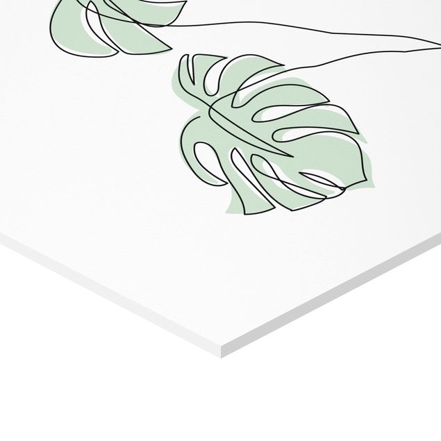 Obraz heksagonalny z Forex - Leaves Monstera Line Art
