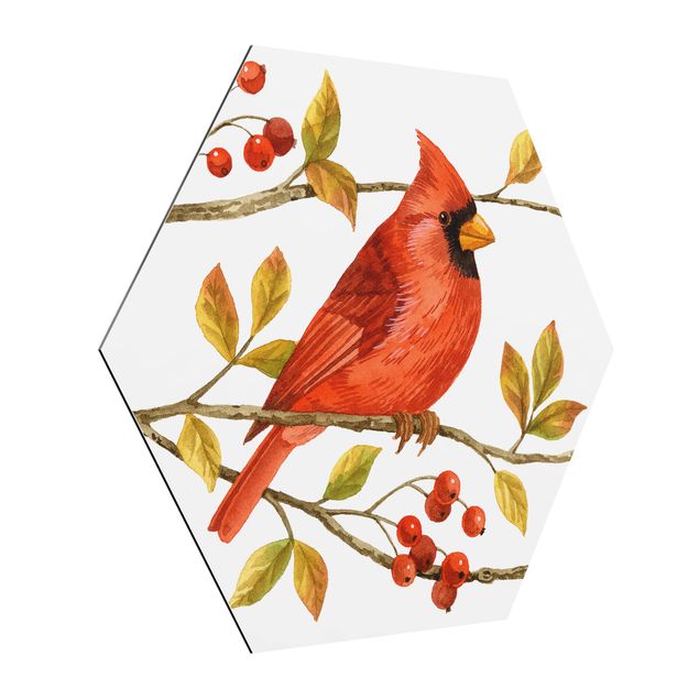 Zwierzęta obrazy Ptaki i jagody - Czerwony kardynał