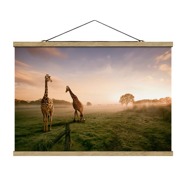 Obrazy krajobraz Surrealistyczne żyrafy
