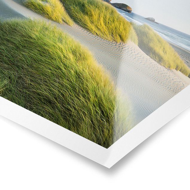 Morze obraz Wydmy i trawy nad morzem