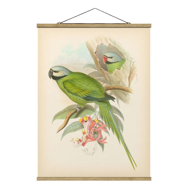 Obraz vintage Ilustracja w stylu vintage Ptaki tropikalne II