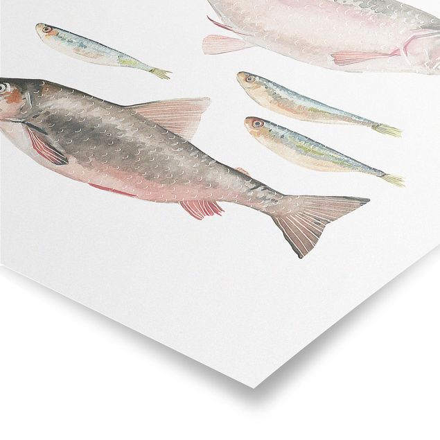 Plakat o zwierzętach Siedem rybek w akwareli I