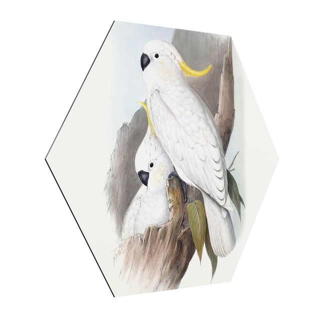 Obraz heksagonalny z Alu-Dibond - Pastelowe papugi III