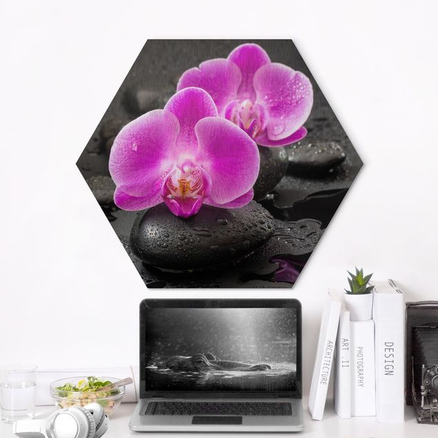 Orchidea obraz Kwiaty różowej orchidei na kamieniach z kroplami