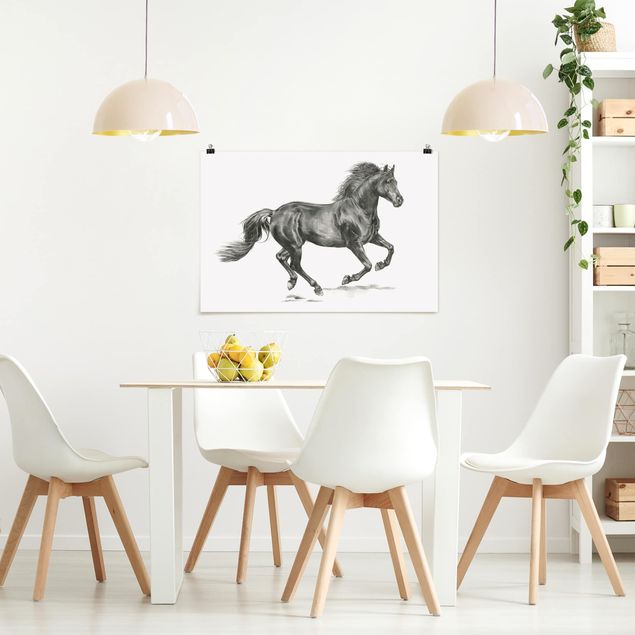 Obrazy do salonu nowoczesne Studium dzikiego konia - ogier