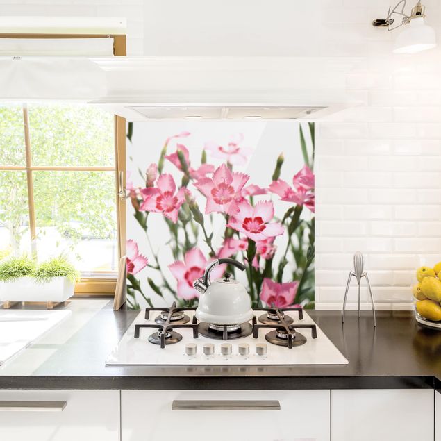 Panel szklany do kuchni Różowe kwiaty