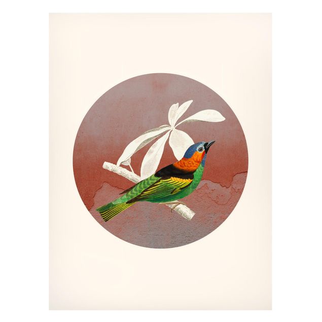 Obrazy do salonu nowoczesne Kolaż z ptakami w kole II