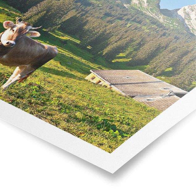 Nowoczesne obrazy Szwajcarska łąka alpejska z krową