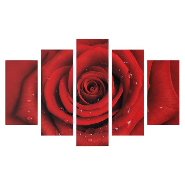 Obrazy nowoczesny Róża czerwona z kroplami wody