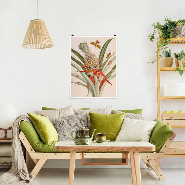 Obrazy do salonu nowoczesne Anna Maria Sibylla Merian - Ananas z owadami