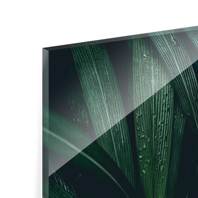 Panel szklany do kuchni - Zielone liście palmy