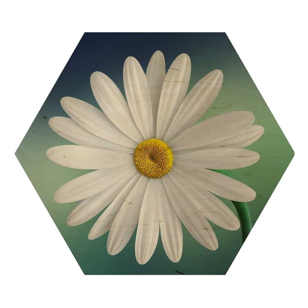 Obraz heksagonalny z drewna - Daisy z bliska