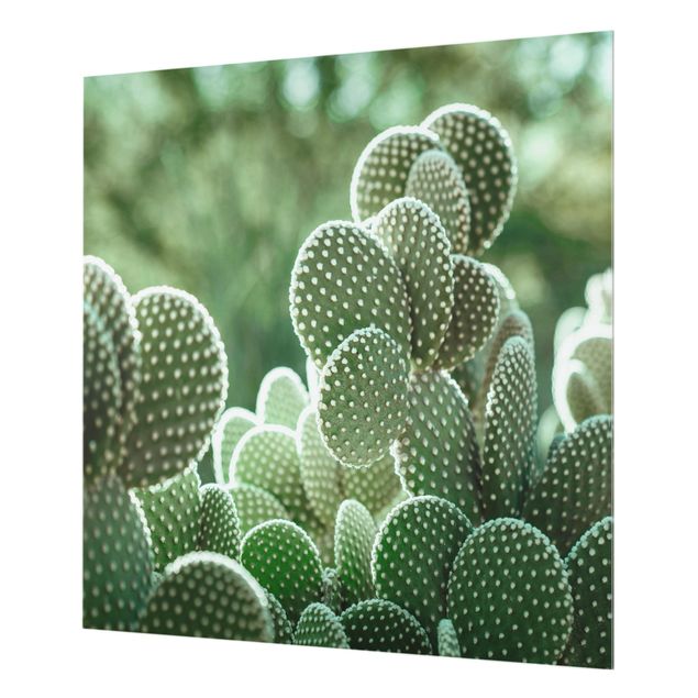 Panel szklany do kuchni - Kaktusy
