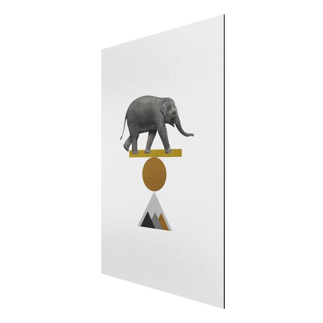 Obrazy nowoczesne Słoń artystyczny Balans