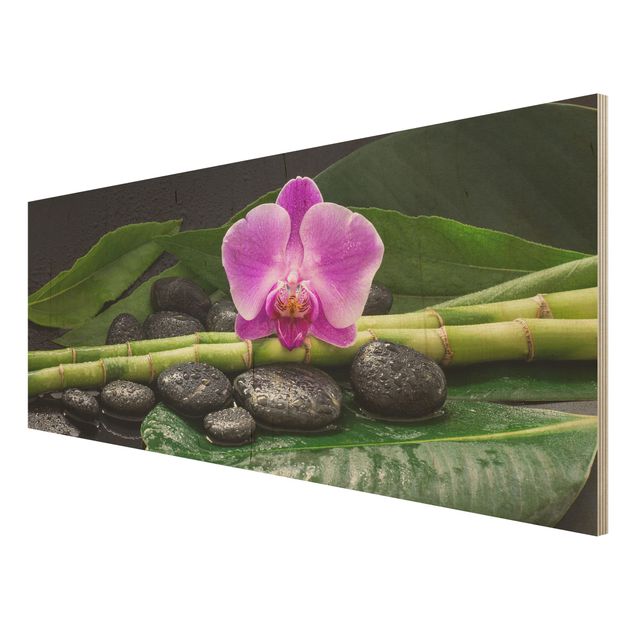 Obrazy na ścianę Zielony bambus z kwiatem orchidei
