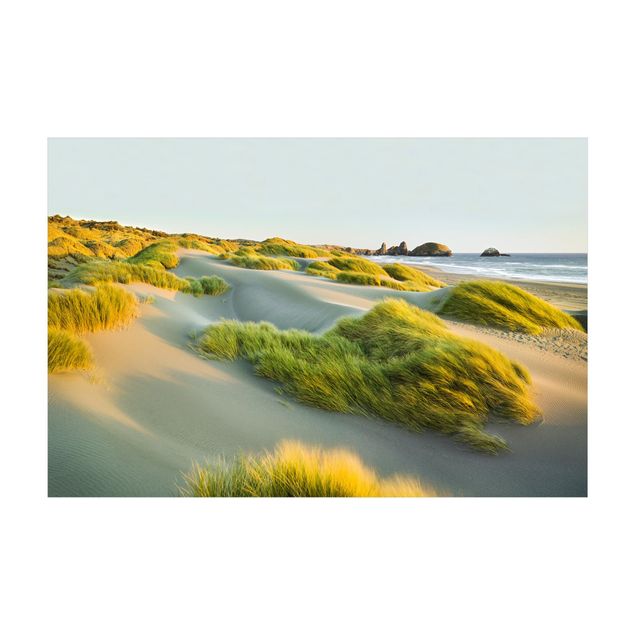 dywany zielone nowoczesne Wydmy i trawy nad morzem