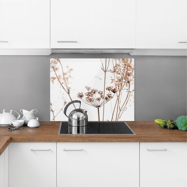 Panel szklany do kuchni Suchy kwiat w grze światła