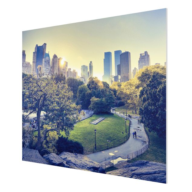 Obrazy nowoczesny Pokojowy Central Park