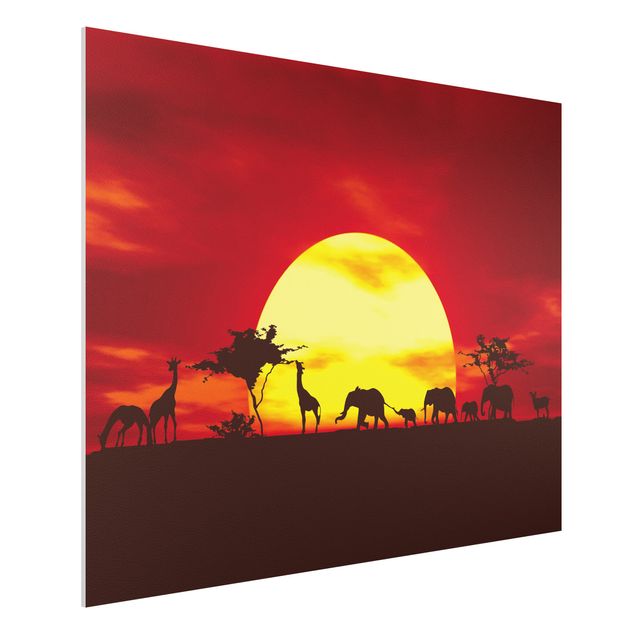 Słoń obraz Karawana o zachodzie słońca