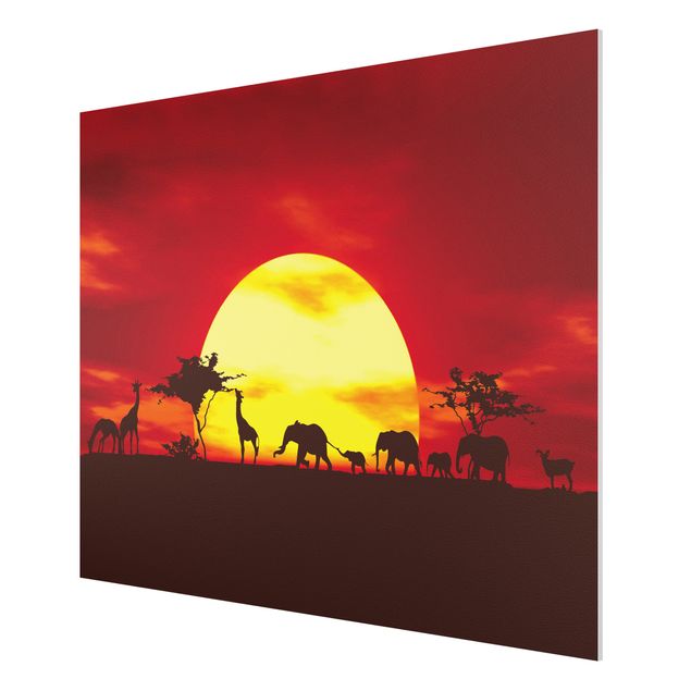 Obrazy do salonu nowoczesne Karawana o zachodzie słońca