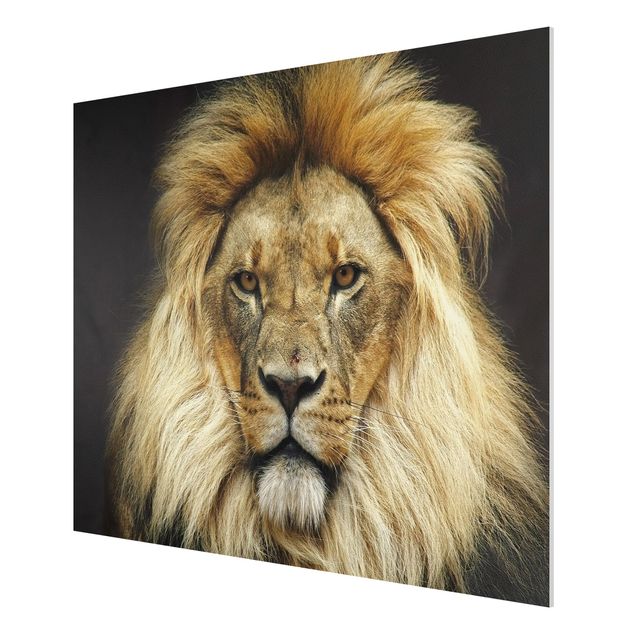 Obrazy zwierzęta Mądrość lwa