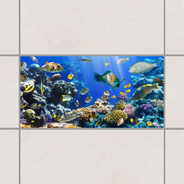 Naklejki na płytki z krajobrazem Refa podwodna