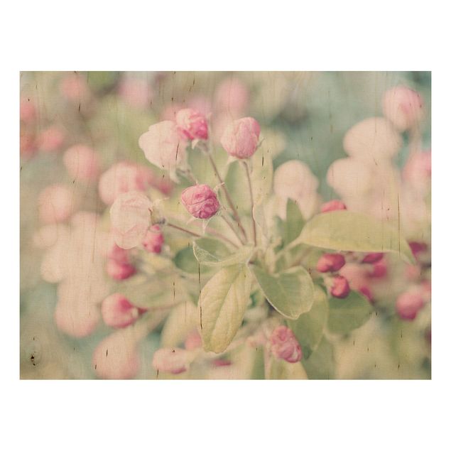 Andrea Haase obrazy  Kwiat jabłoni bokeh różowy