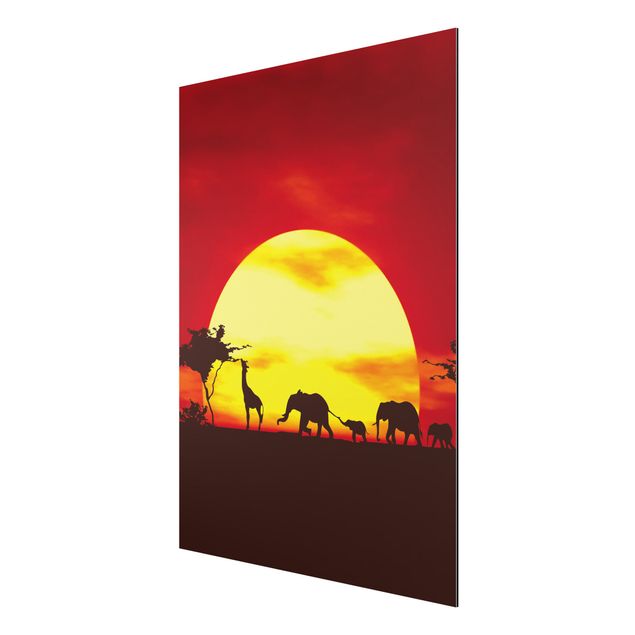 Obrazy nowoczesne Karawana o zachodzie słońca