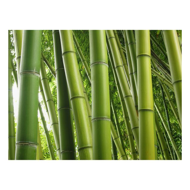 Obrazy do salonu nowoczesne Drzewa bambusowe Nr 1