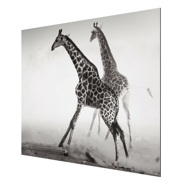 Obrazy nowoczesny Polowanie na żyrafę