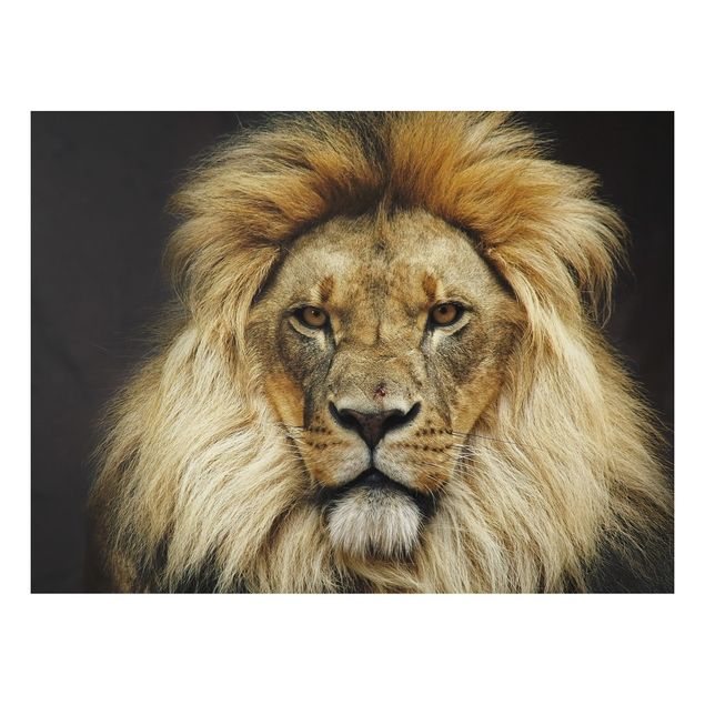 Obrazy do salonu Mądrość lwa