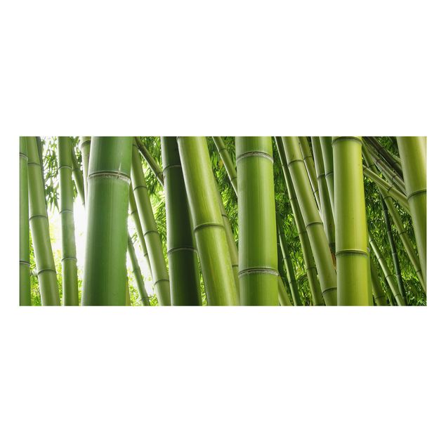 Obrazy do salonu nowoczesne Drzewa bambusowe Nr 1