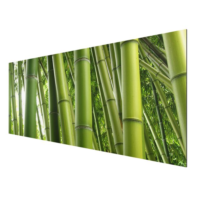 Nowoczesne obrazy Drzewa bambusowe Nr 1