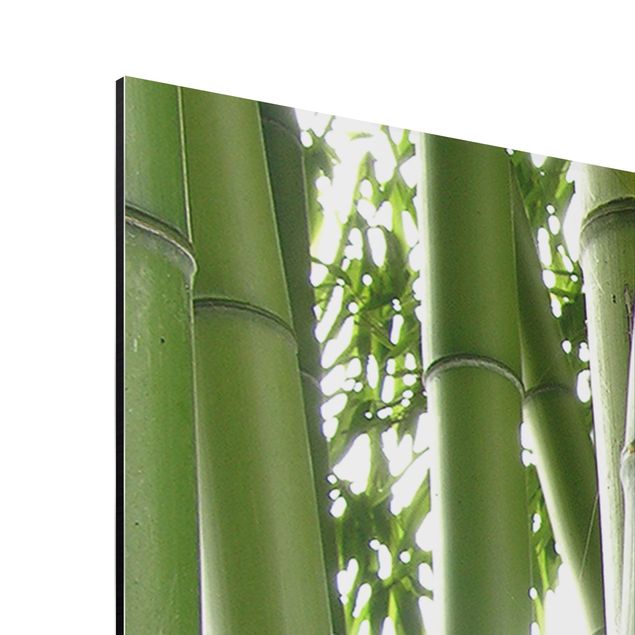 Obrazy krajobraz Drzewa bambusowe Nr 1