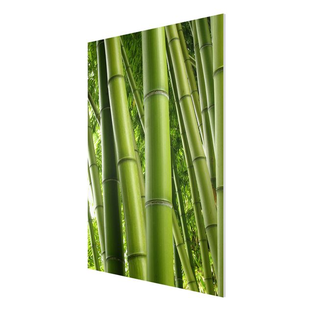 Obrazy nowoczesny Drzewa bambusowe Nr 1