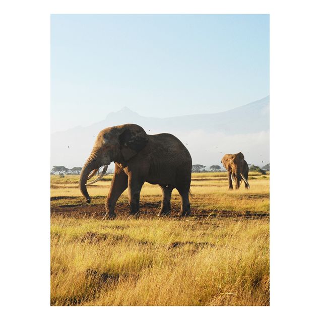 Obrazy do salonu nowoczesne Słonie na tle Kilimandżaro w Kenii