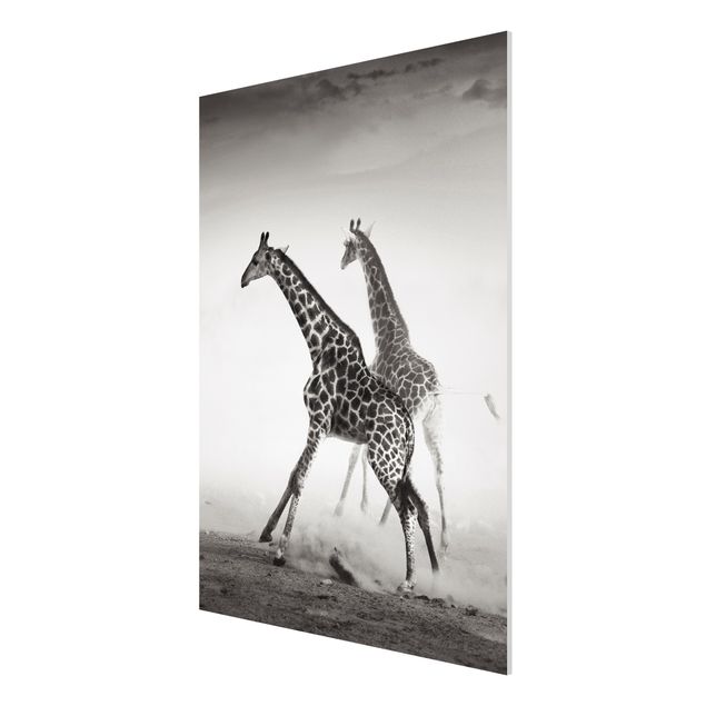 Obrazy nowoczesny Polowanie na żyrafę