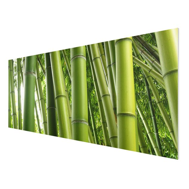 Obrazy nowoczesny Drzewa bambusowe Nr 1