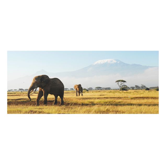 Dekoracja do kuchni Słonie na tle Kilimandżaro w Kenii
