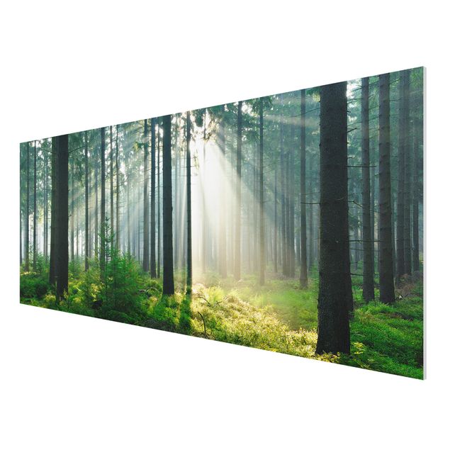 Obrazy nowoczesne Świetlany las