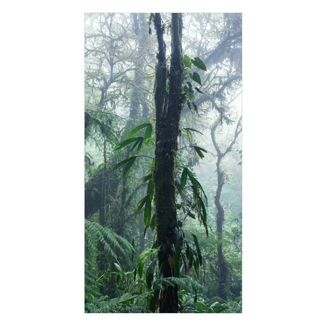 Tylna ścianka prysznicowa - Monteverde Cloud Forest