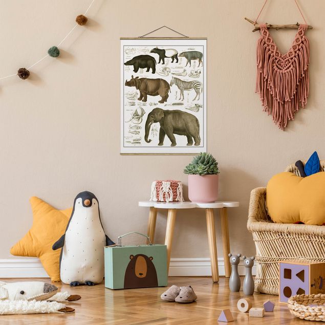 Obrazy do salonu nowoczesne Tablica edukacyjna w stylu vintage Słonie, zebry i nosorożce