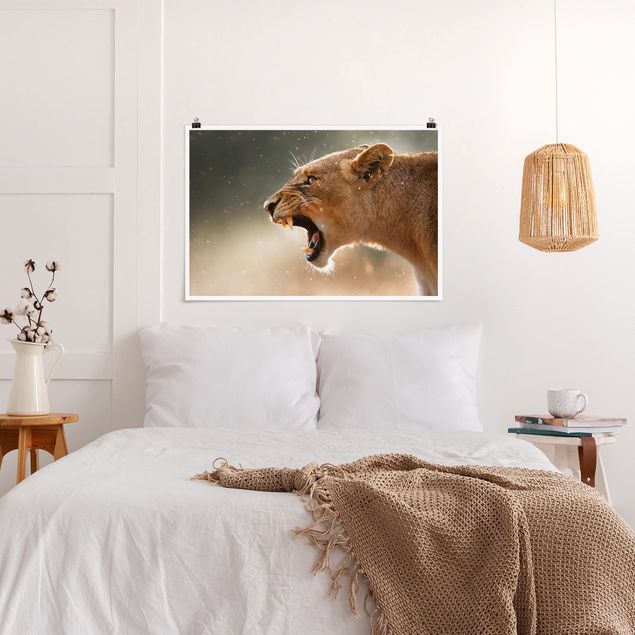 Obrazy nowoczesne Lwica na polowaniu