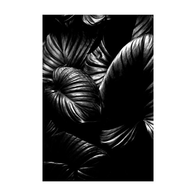 dywan jungle czarno-biały Botany Hosta