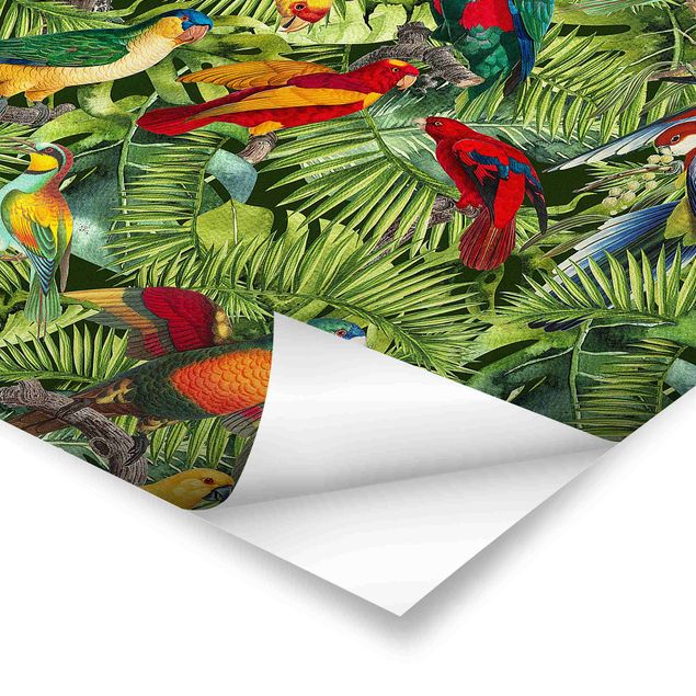 Obrazy kwiatowe Kolorowy kolaż - Papugi w dżungli