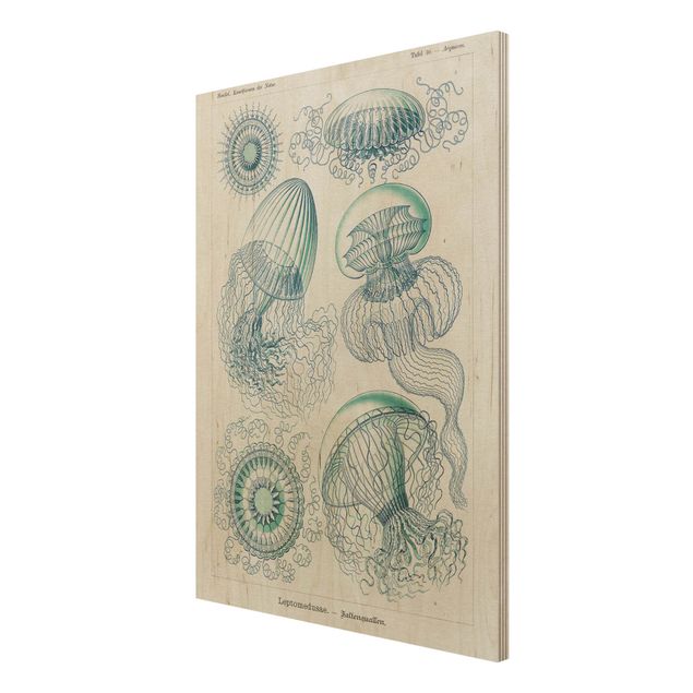 Obrazy z drewna Tablica edukacyjna w stylu vintage Meduza w kolorze niebieskim
