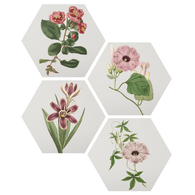 Obraz heksagonalny z Forex 4-częściowy - Kwiatowy zestaw biżuterii I