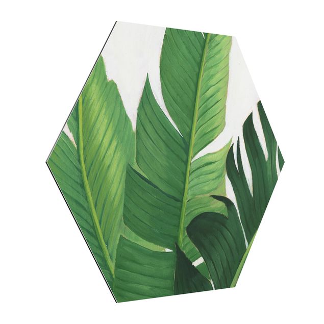Obraz heksagonalny z Alu-Dibond - Ulubione rośliny - Banan