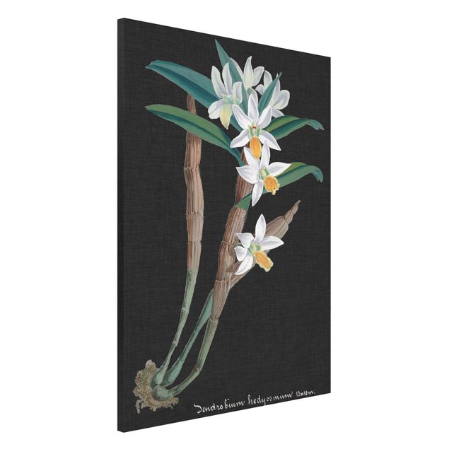 Obrazy orchidea Biała orchidea na lnie I
