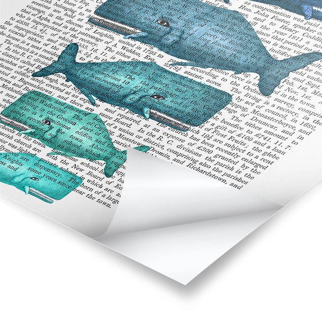 Niebieskie obrazy Czytanie o zwierzętach - Rodzina wielorybów